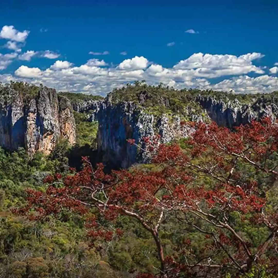 Cavernas do Peruaçu