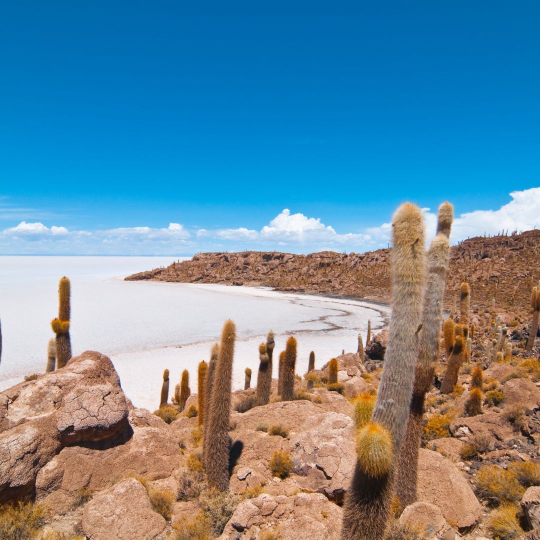 Atacama e Salar de Uyuni