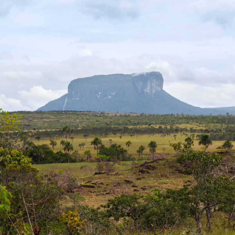 Monte Roraima