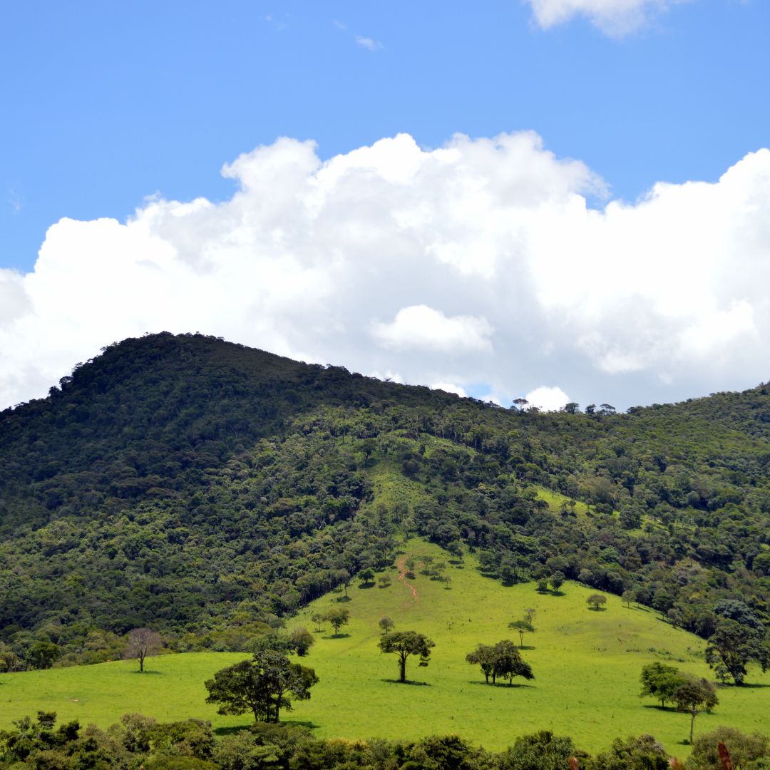 Caminho dos Diamantes