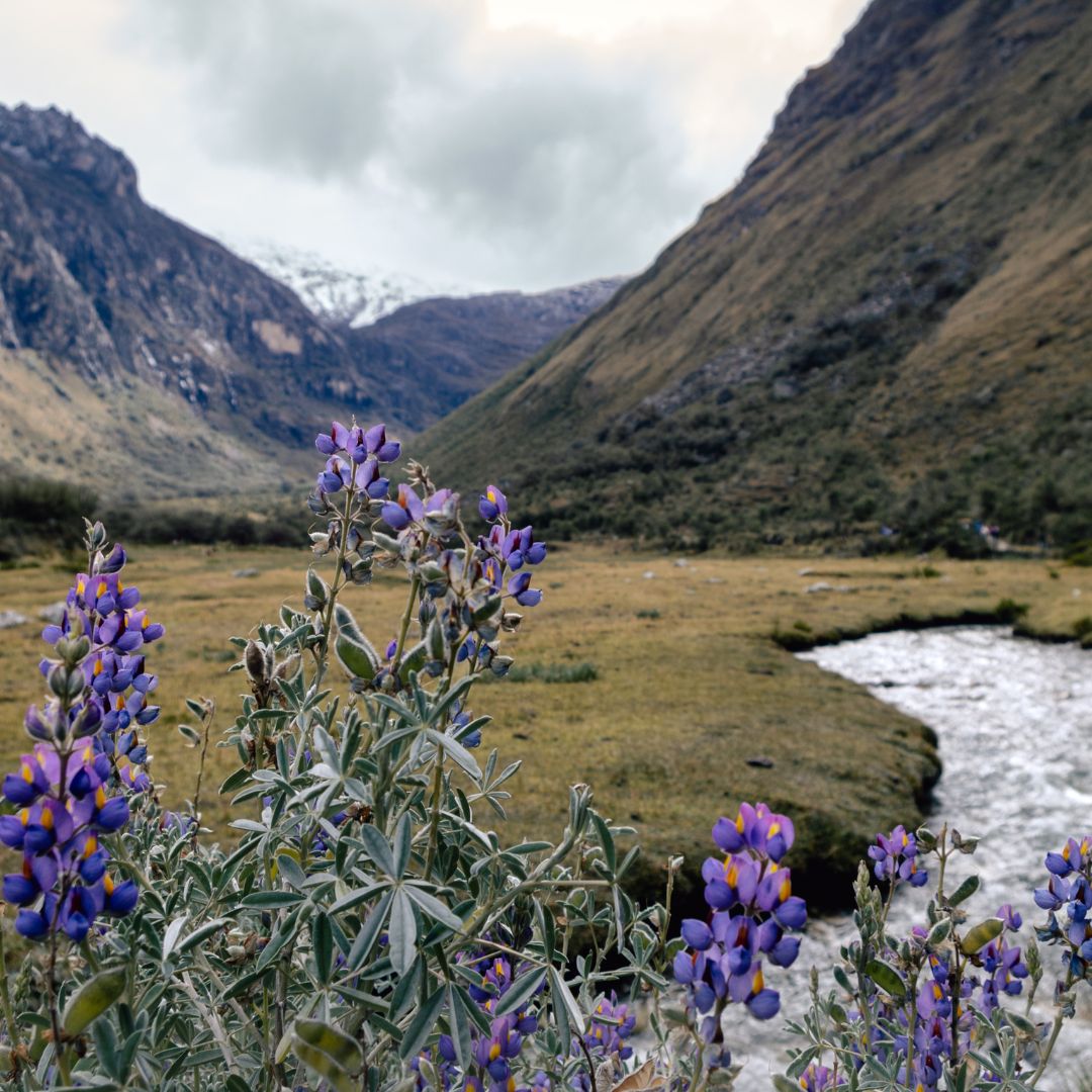 Peru Viagem de Grupo